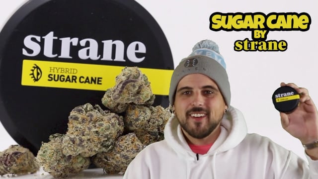 Sugar Cane by Strane - Haven