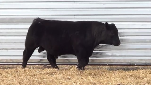Lot #28 - LL RECKON 0113
