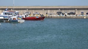 Futur incert de la pesca del tresmall