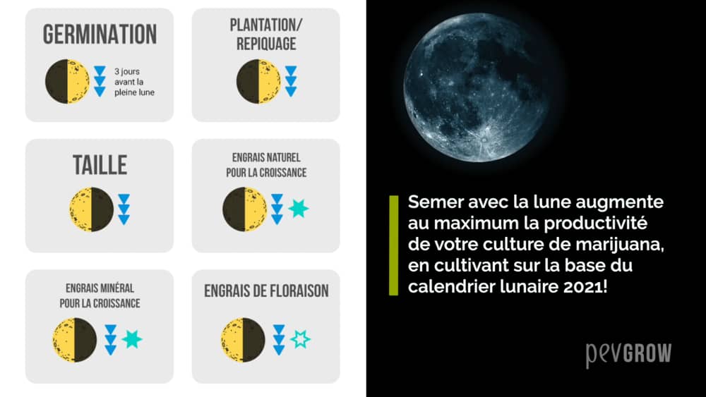 Calendrier Lunaire Cannabique 2023 Pdf 🥇 Calendrier Lunaire Cannabique 2022 🥇 Aidez Vos Plantes!