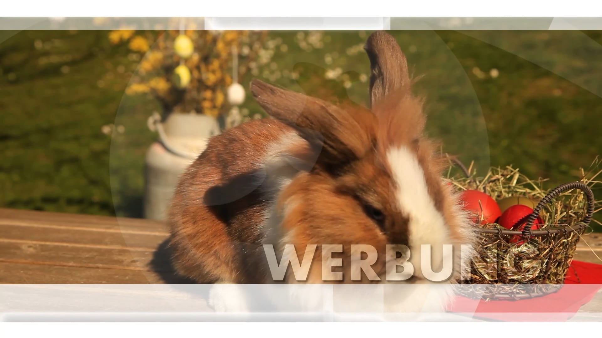 werbung-salzburg-magazin-23-03-2021