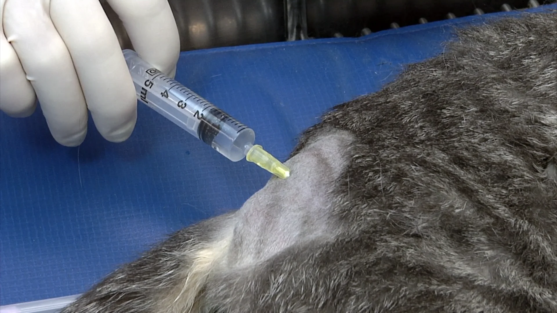 Foundation Course V: Emergency Procedures - IO Catheter on Vimeo