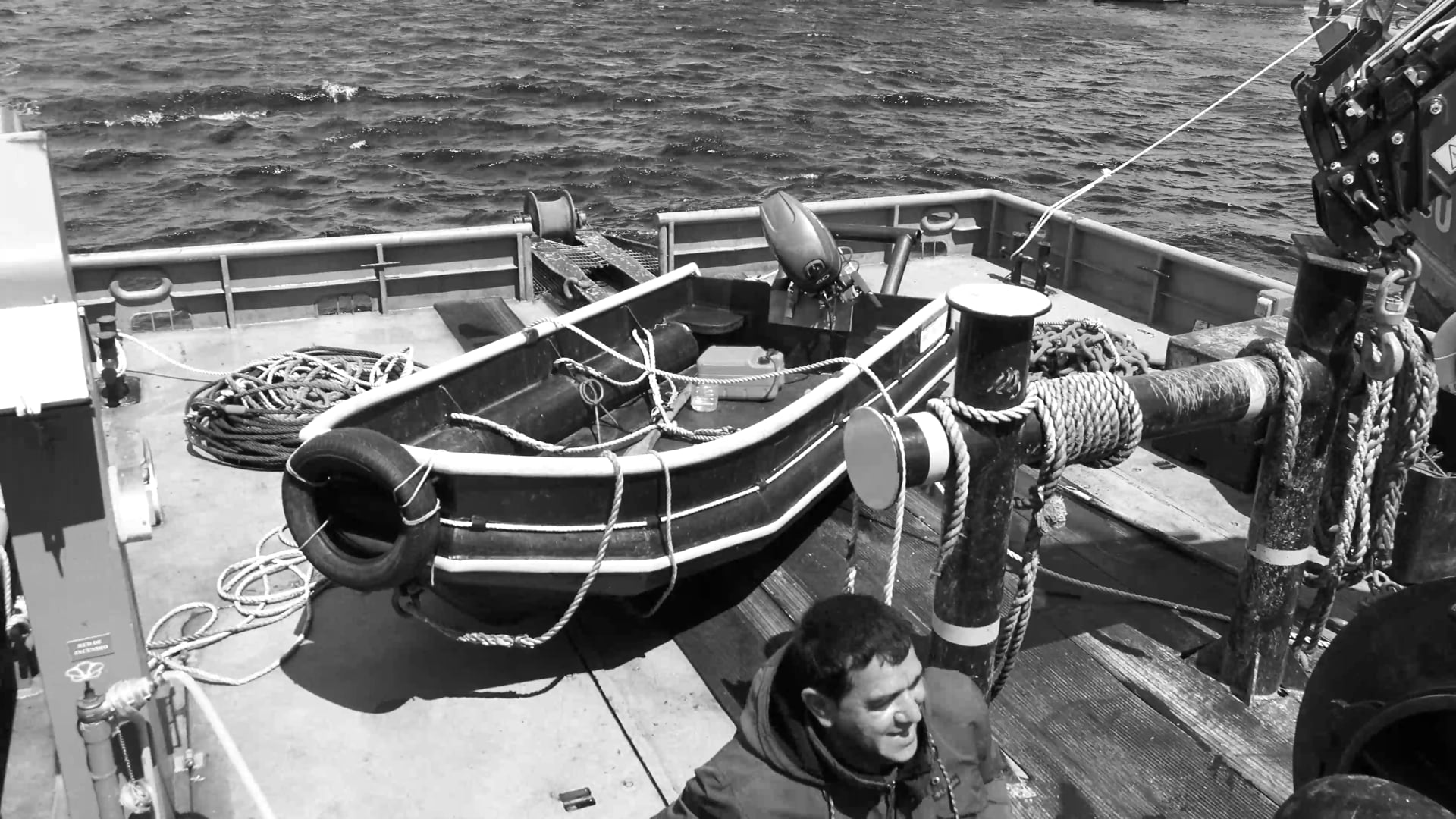 La pincoya et les glaneuses de la mer