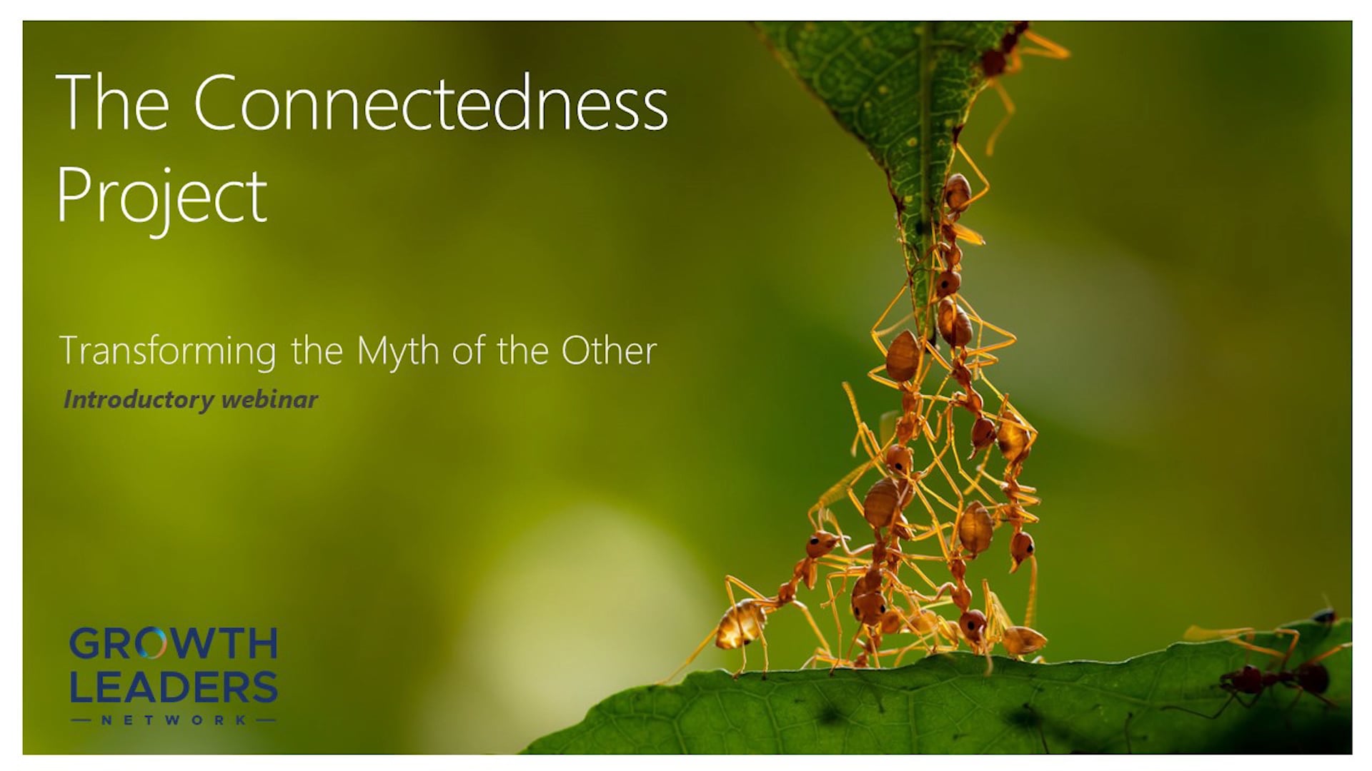 The Connectedness Project Webcast