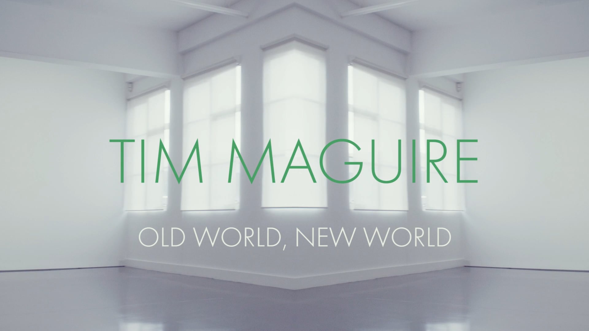 Tolarno Galleries - Tim Maguire