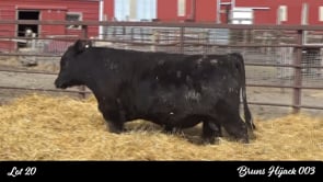 Lot #20 - BRUNS HIJACK 003