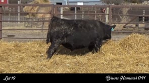 Lot #19 - BRUNS HAMMER 041