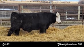 Lot #43 - BRUNS HOMETOWN 010