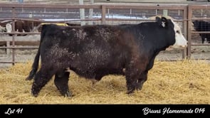 Lot #41 - BRUNS HOMEMADE 014