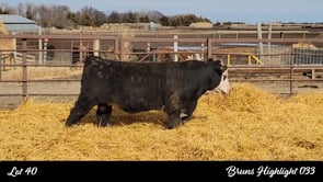 Lot #40 - BRUNS HIGHLIGHT 033