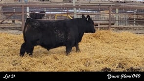 Lot #31 - BRUNS HEMI 040