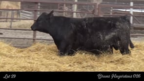 Lot #29 - BRUNS HAZARDOUS 026