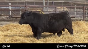 Lot #28 - BRUNS HEAVY METAL 008