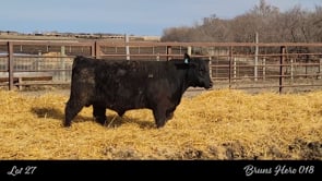 Lot #27 - BRUNS HERO 018
