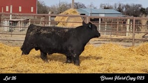 Lot #26 - BRUNS HARD COPY 023