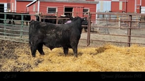 Lot #24 - BRUNS HARDCORE 043