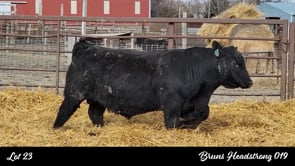 Lot #23 - BRUNS HEADSTRONG 019