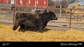 Lot #17 - BRUNS HOSTAGE 016