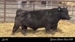 Lot #16 - BRUNS HOME RUN 020