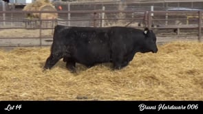Lot #14 - BRUNS HARDWARE 006