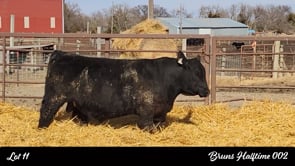 Lot #11 - BRUNS HALFTIME 002