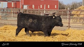 Lot #10 - BRUNS HARDY 038
