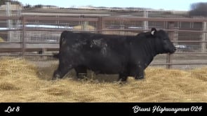 Lot #8 - BRUN HIGHWAYMAN 024