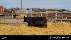 Lot #6 - BRUNS HIT MAN 025