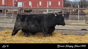 Lot #4 - BRUNS HAPPY HOUR 005