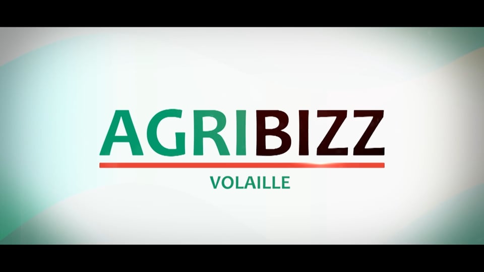 Agribizz: Volaille