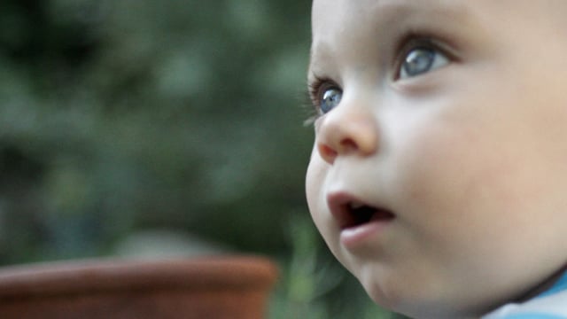 Related Embedded Video Item Thumbnail