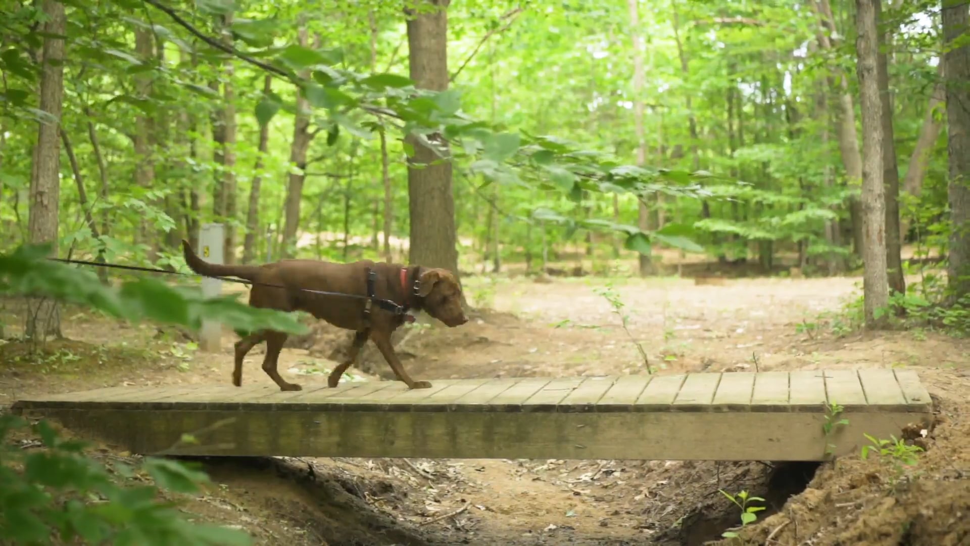 Vacation Rentals, RV Park & Campgrounds Near South Haven, MI