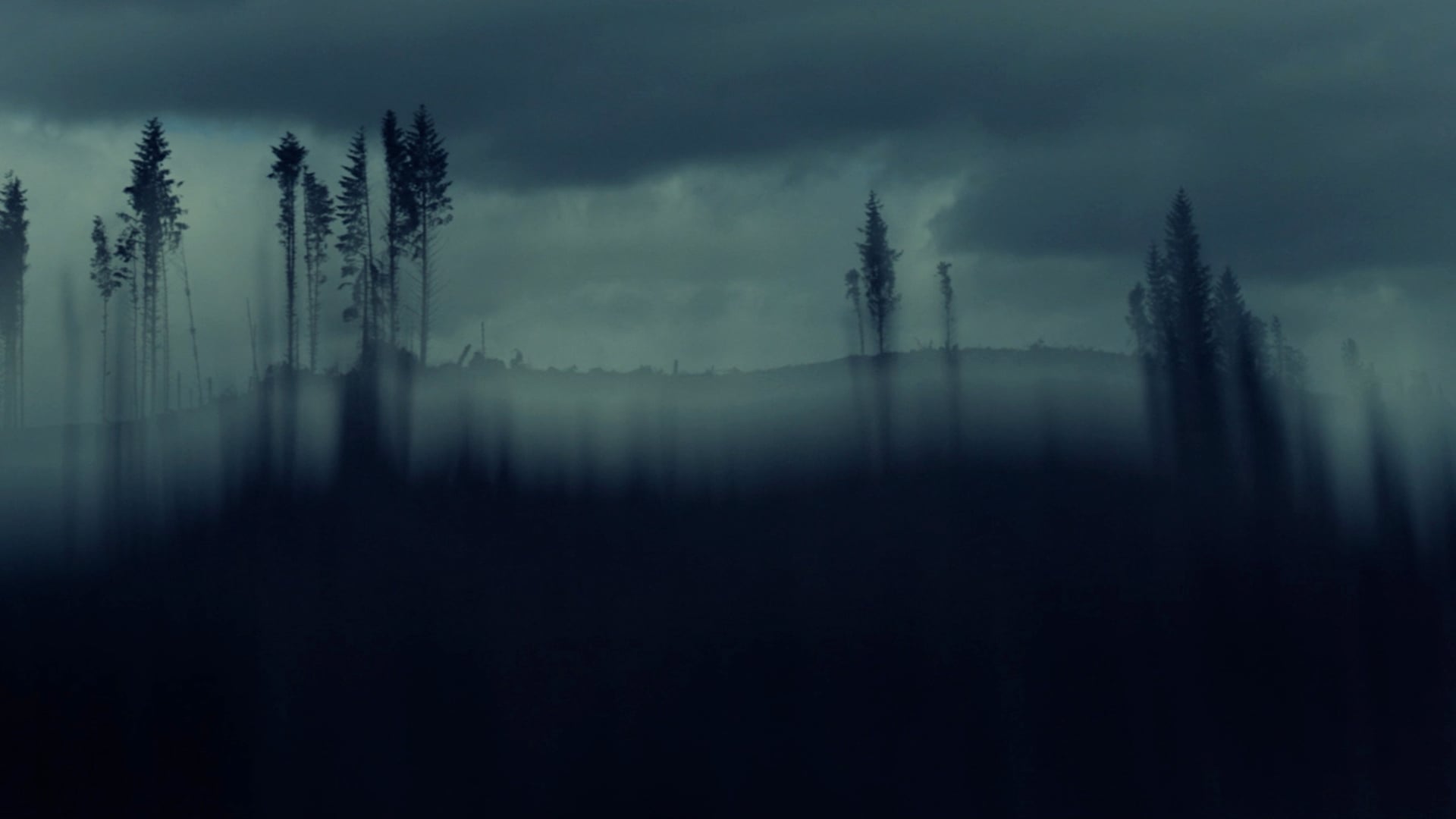 THE WORLD IS ON FIRE // ED HARCOURT//MUSIC VIDEO//POLYDOR