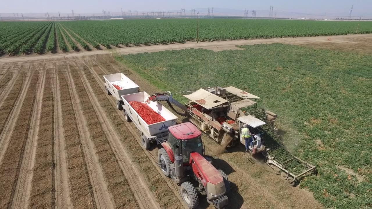 Woolf Farming Partners on Vimeo