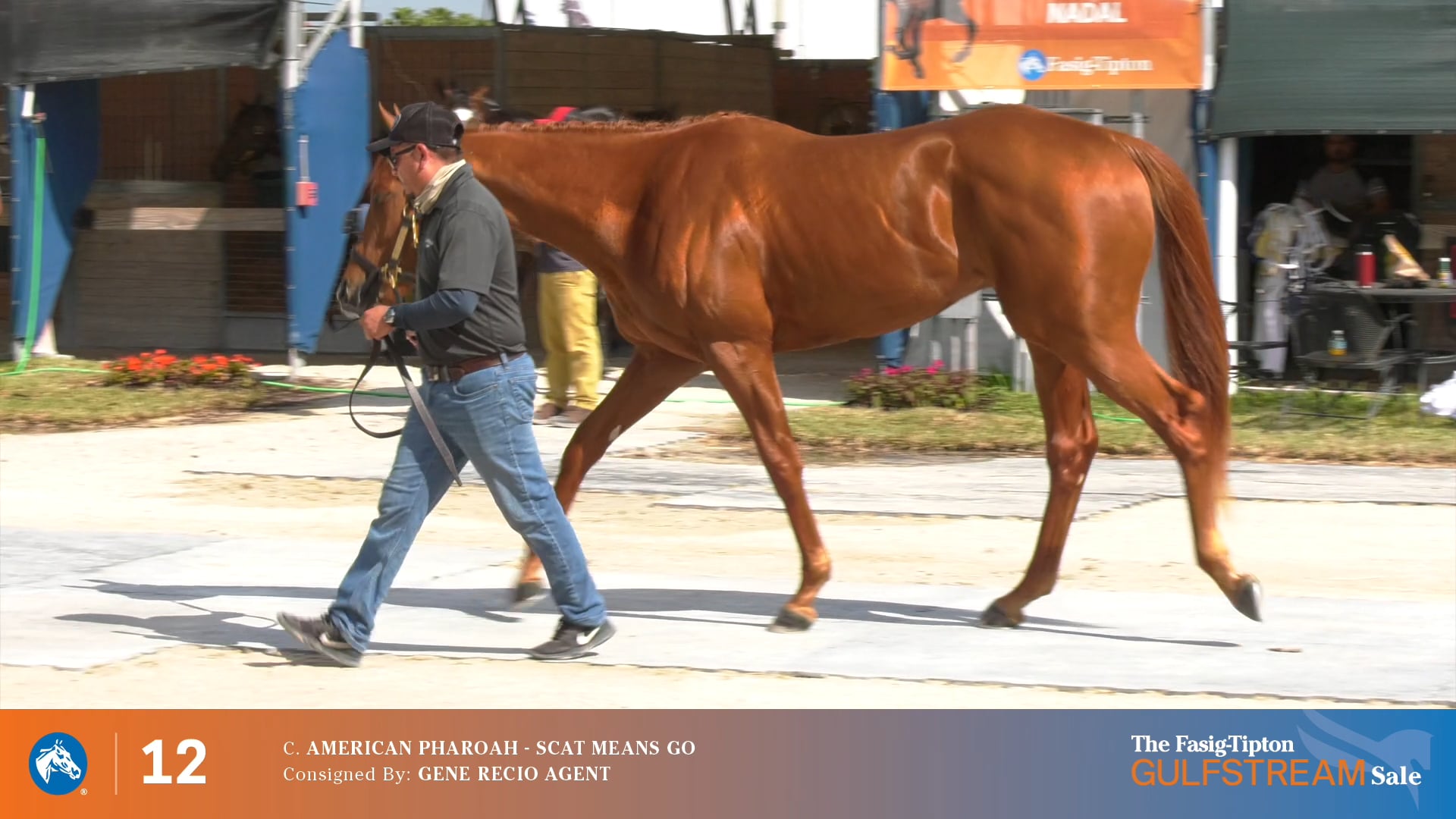 FTFMAR21_12_Scat Means Go 19.mov on Vimeo