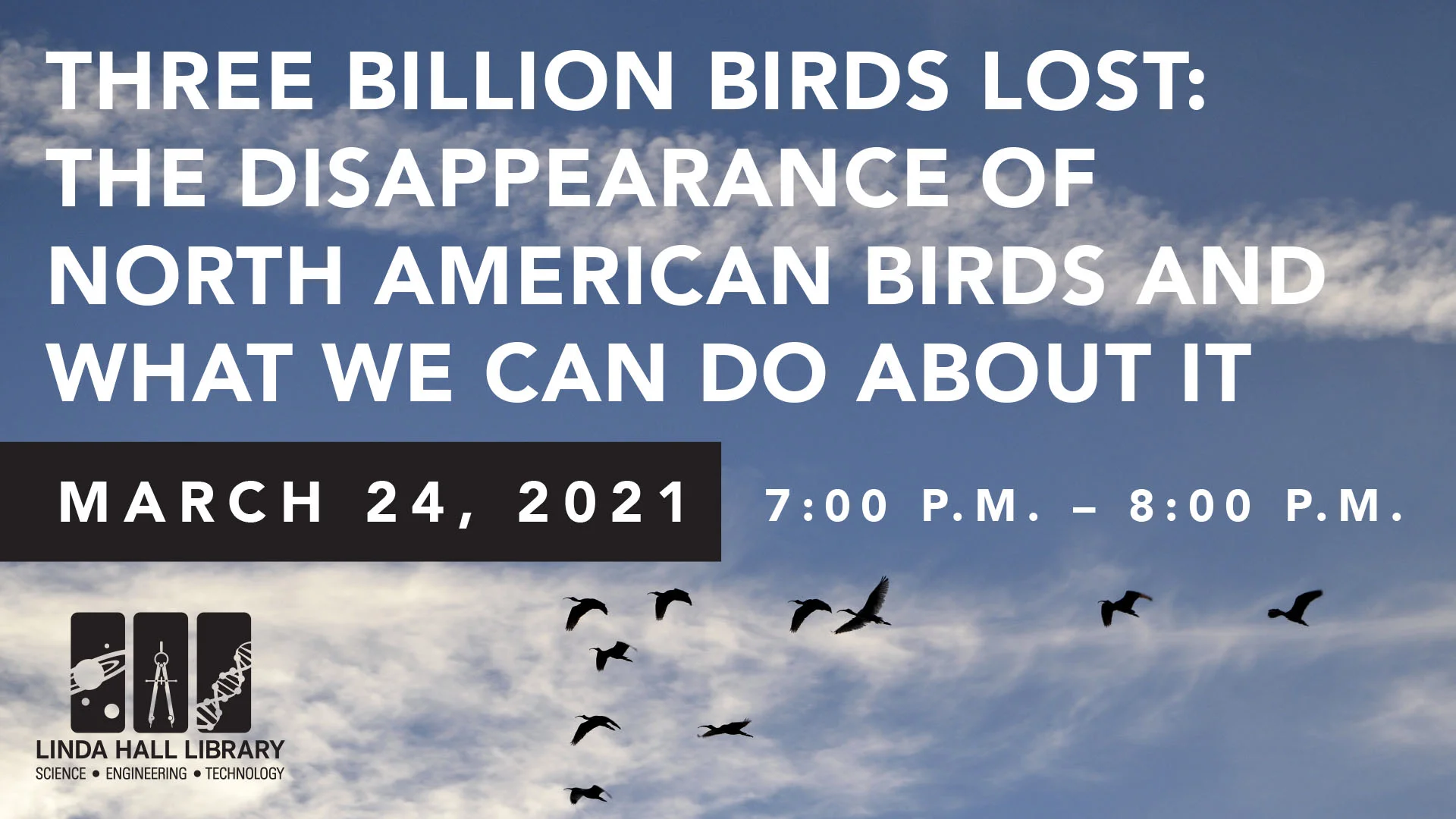 Three Billion Birds Lost The Disappearance Of North American Birds and