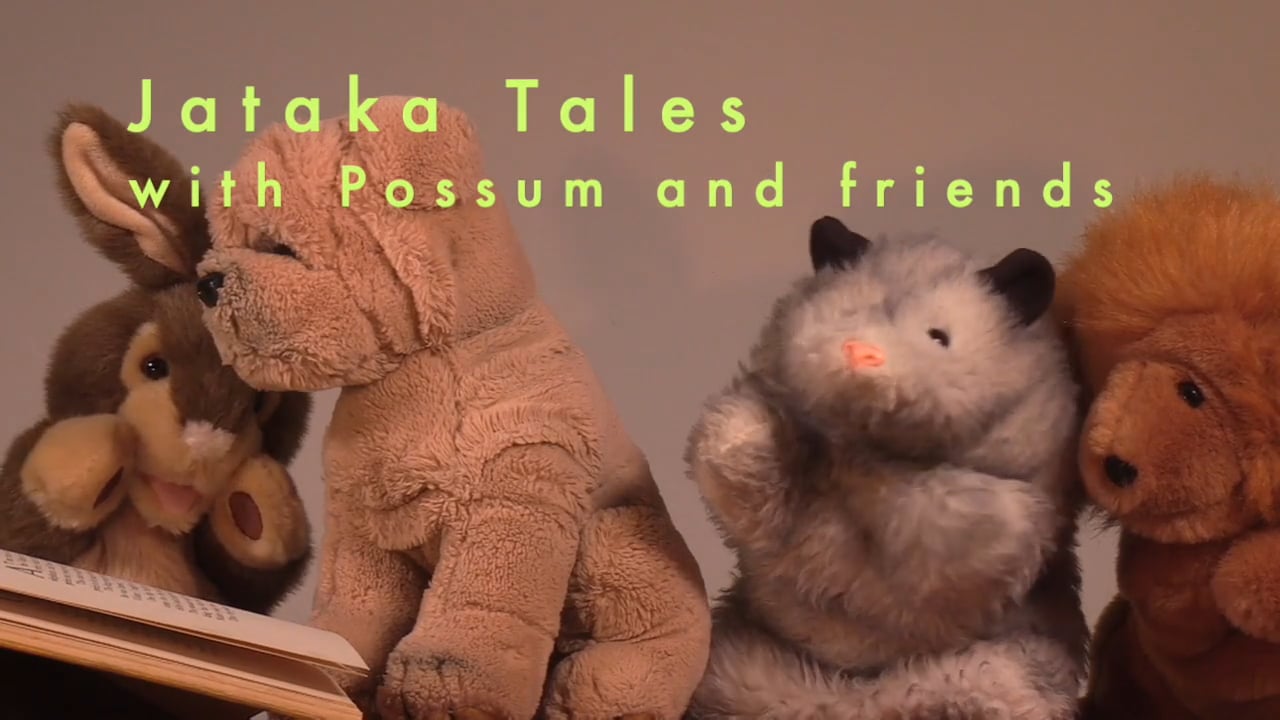 Jataka tales The Timid Rabbit on Vimeo