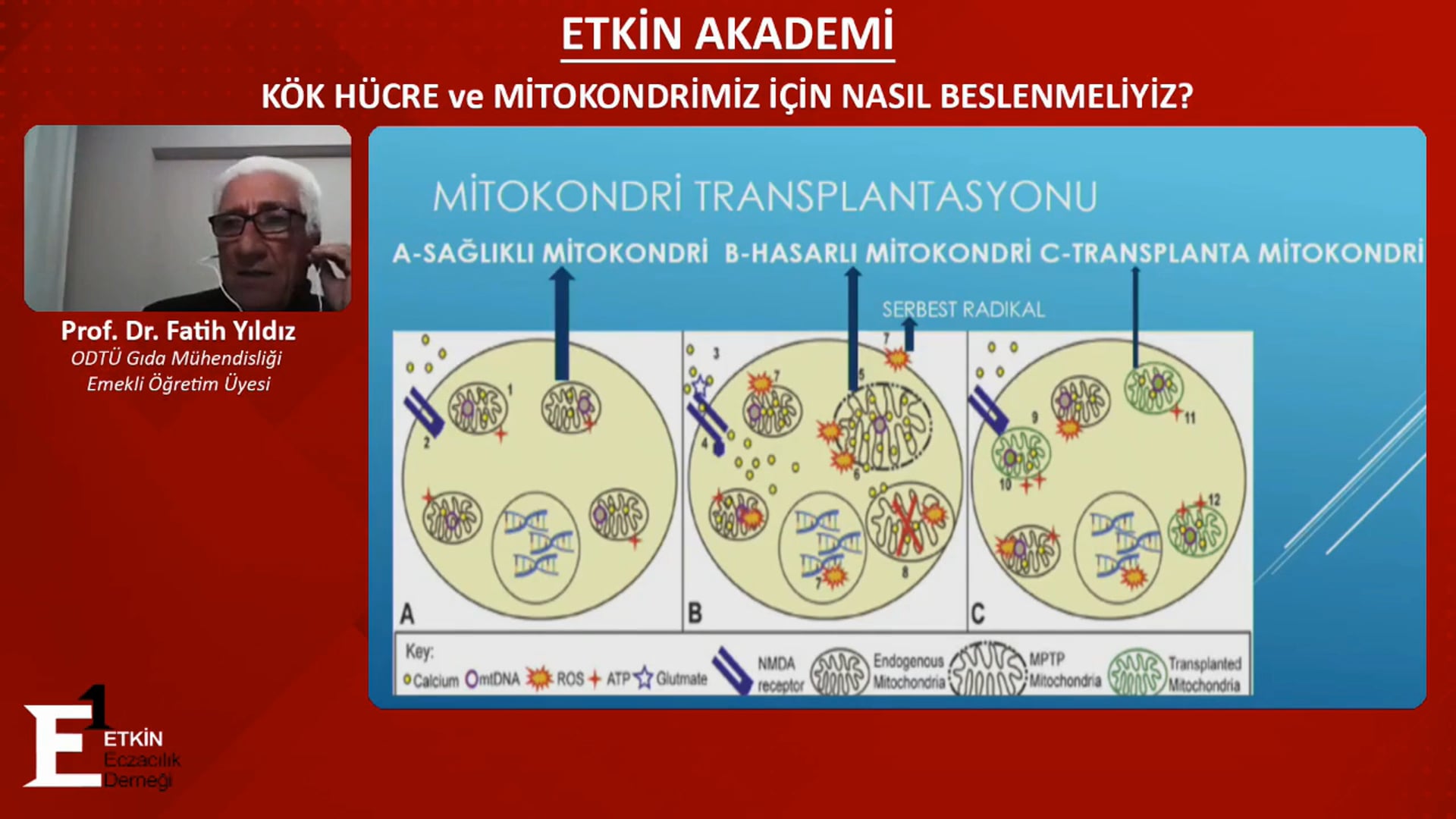 2021-02-25 - Kök Hücre ve Mitokondrimiz İçin Nasıl Beslenmeliyiz - Prof Dr Fatih Yıldız