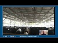 Manexo do Hato no século XXI