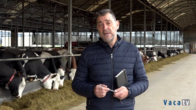 "As vacinas de mastite permítennos traballar con tranquilidade, mellorar a productividade e gañar máis diñeiro"