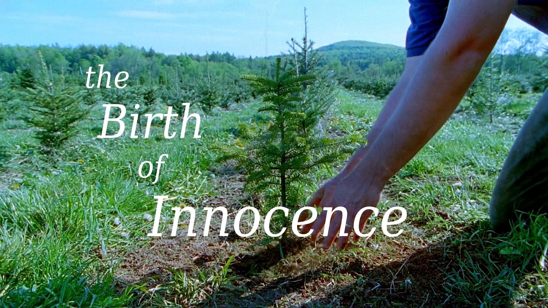 The birth 1981