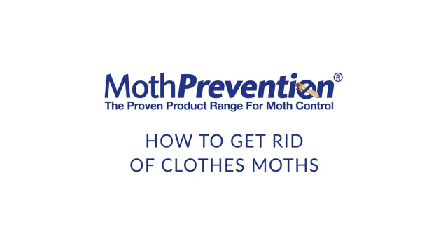 Mothout 10 Pheromone Clothes Moth Traps and Carpet Killer Lavender for  sale online