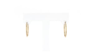 14kt Yellow Gold Endless Hoop Earrings