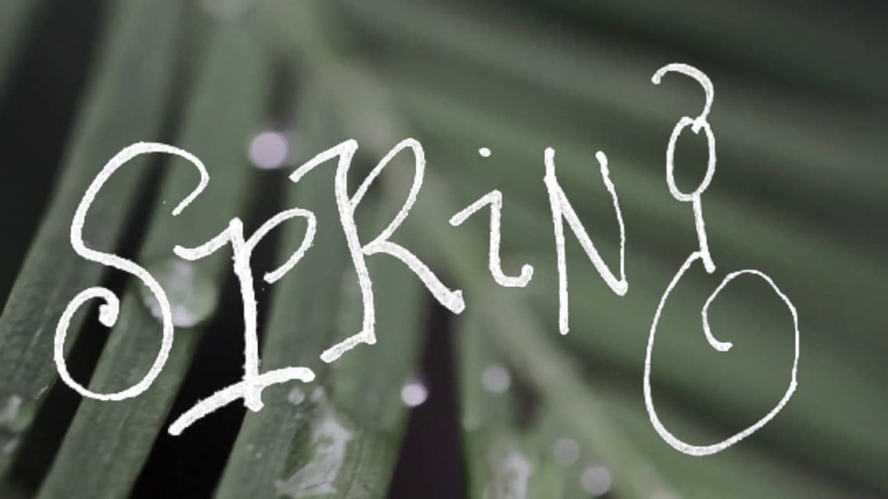 Spring on Vimeo