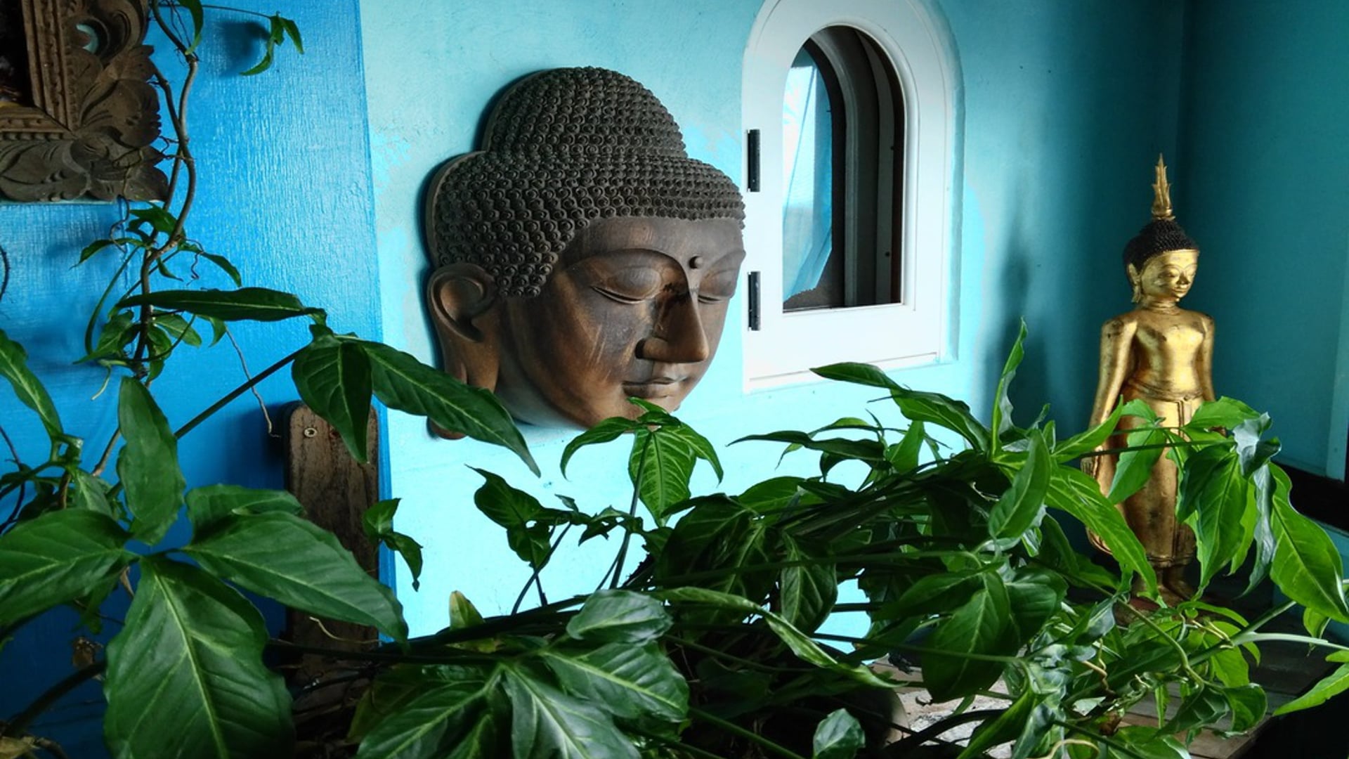 2021 March 18: Right Mindfulness--Wholistic Caring Attention