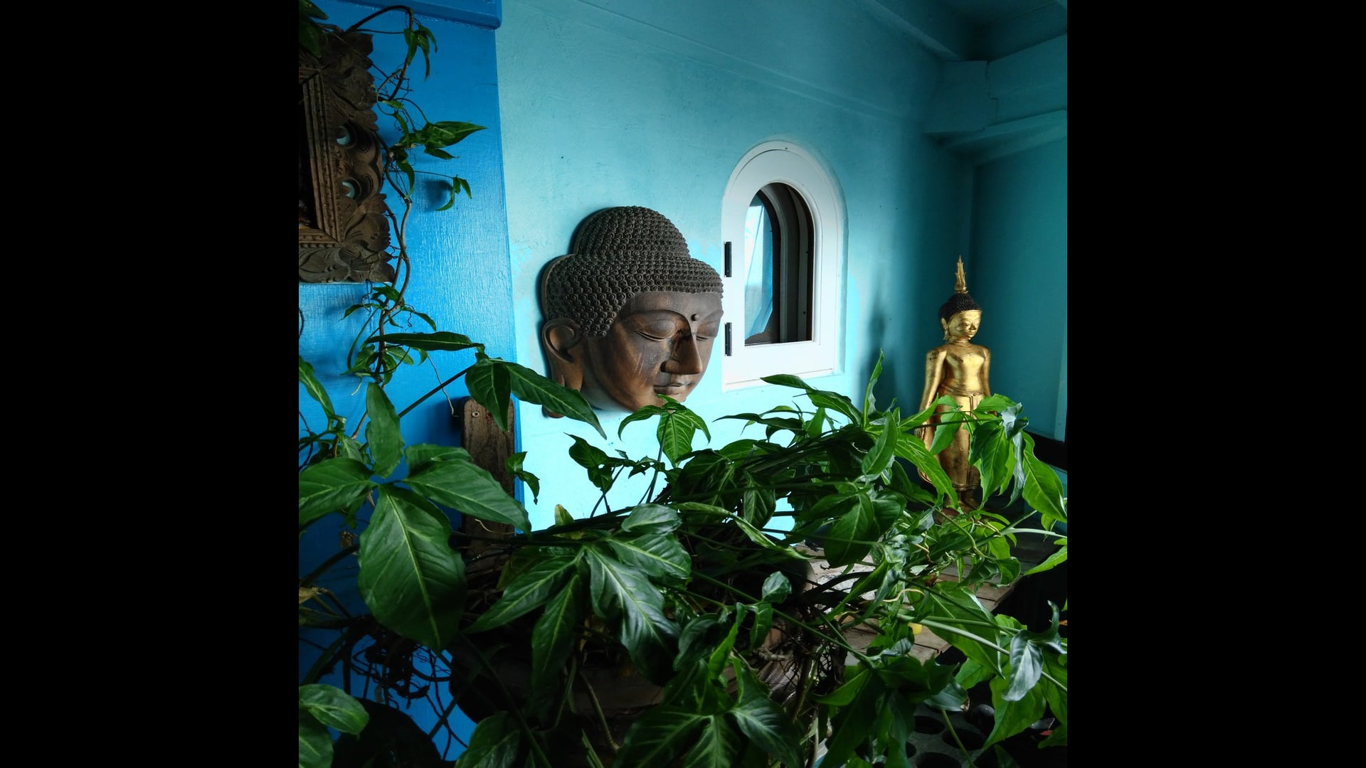 2021 March 18: Right Mindfulness--Wholistic Caring Attention