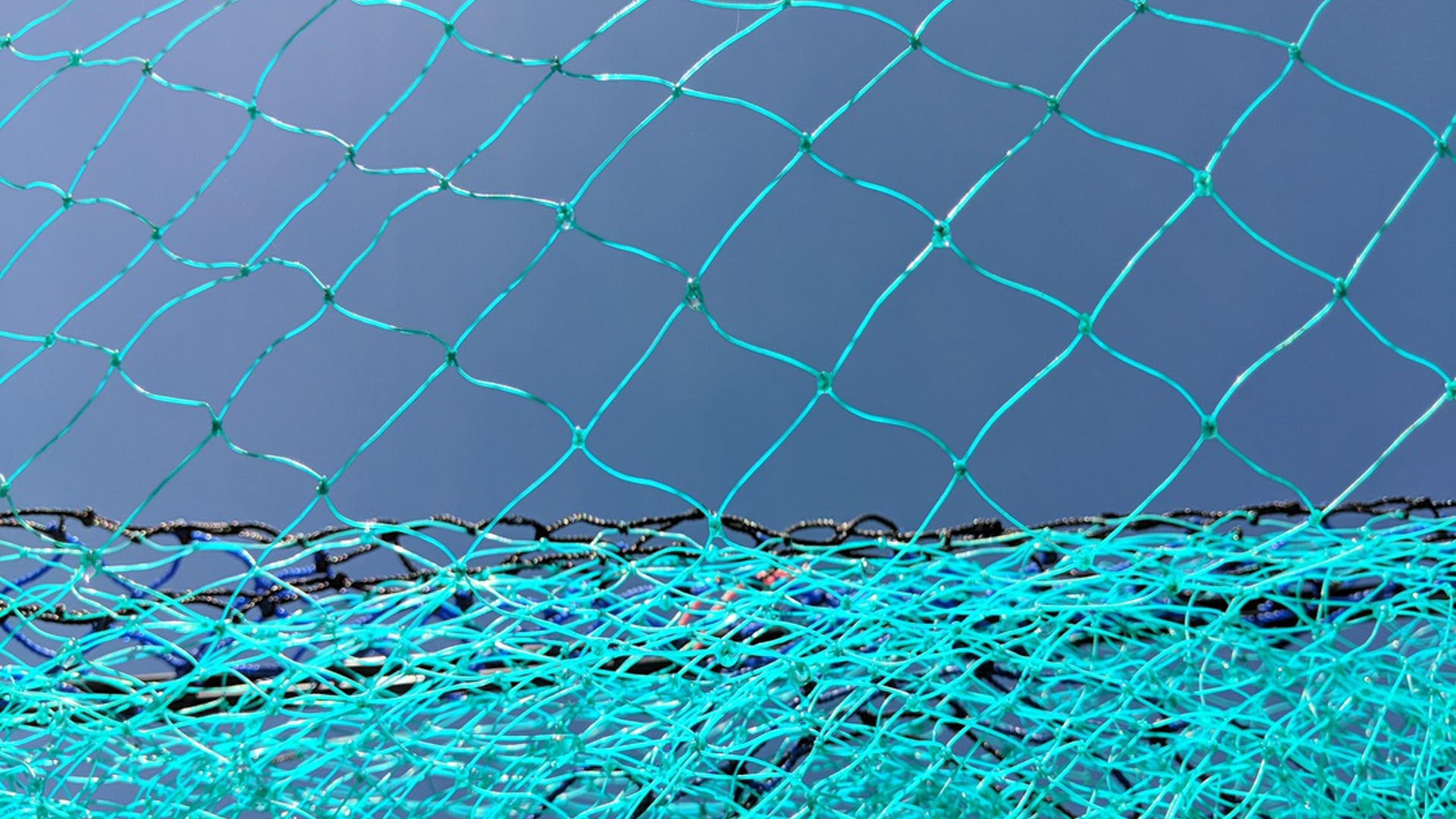 2021 March 23: The Functions of Mindfulness & Concentration