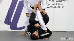 Spider Guard to One Leg X to Straight Ankle Lock