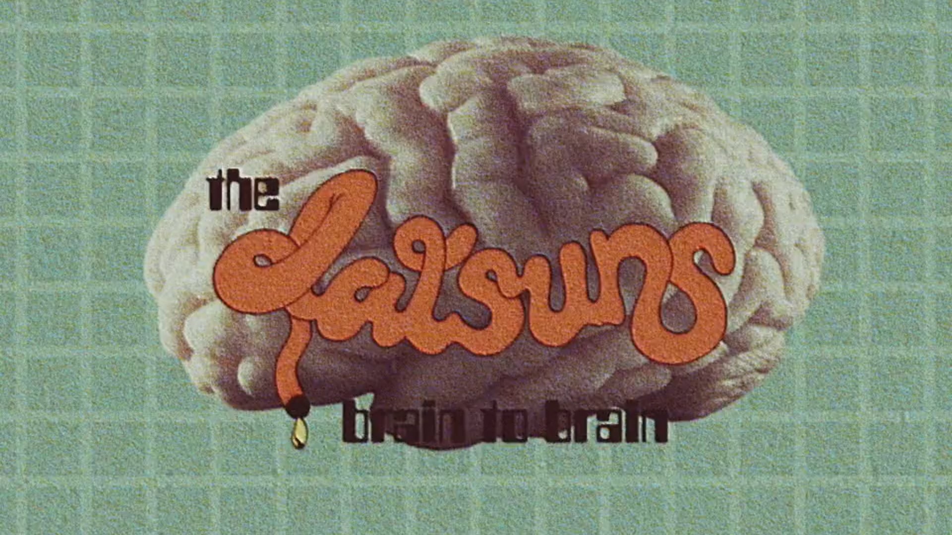 The Datsuns - Brain to Brain (Director/DOP)