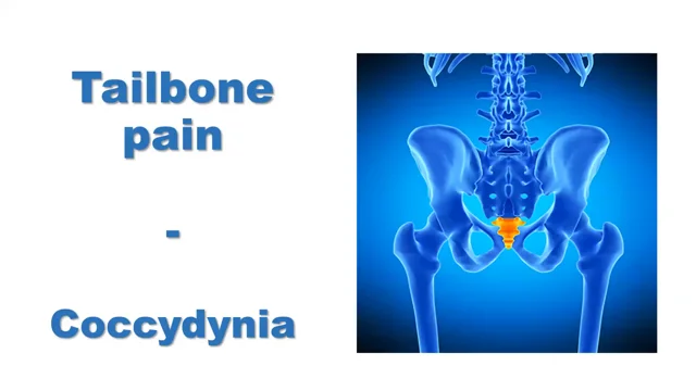 Tailbone Pain Explained  Provenance Rehabilition Pelvic Physical Therapy